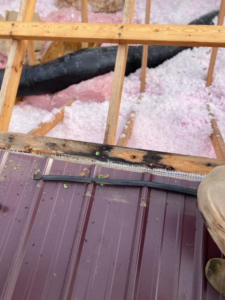 banegas construction 18