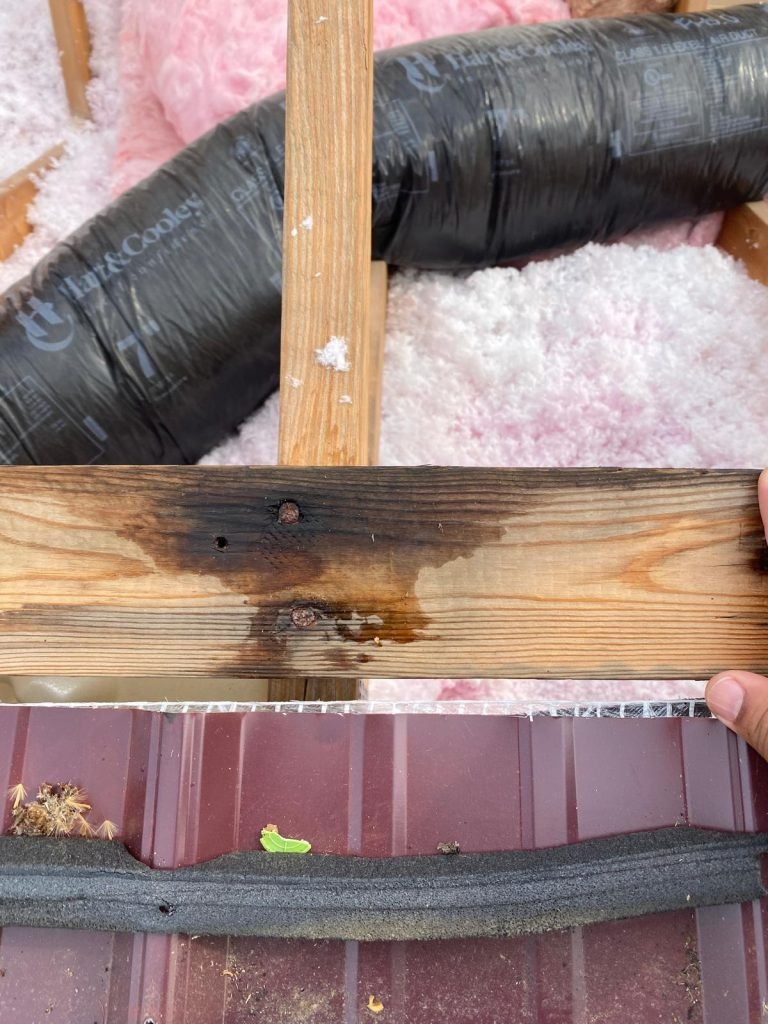 banegas construction 20